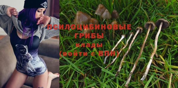 ГАЛЛЮЦИНОГЕННЫЕ ГРИБЫ Сосновка
